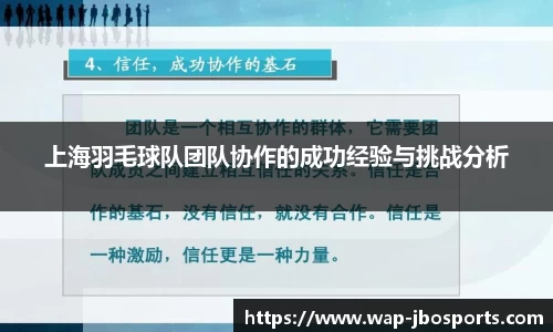 上海羽毛球队团队协作的成功经验与挑战分析
